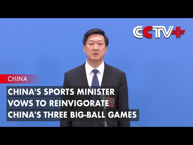 競爭性的球
